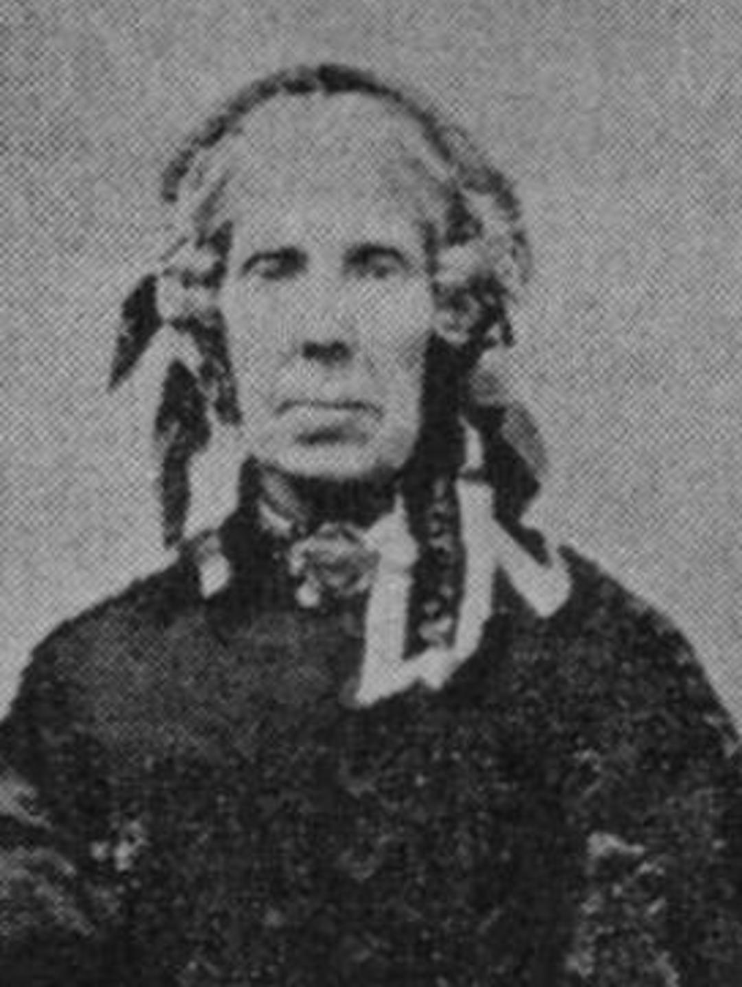 Sophia Turner Adams (1804 - 1872) Profile